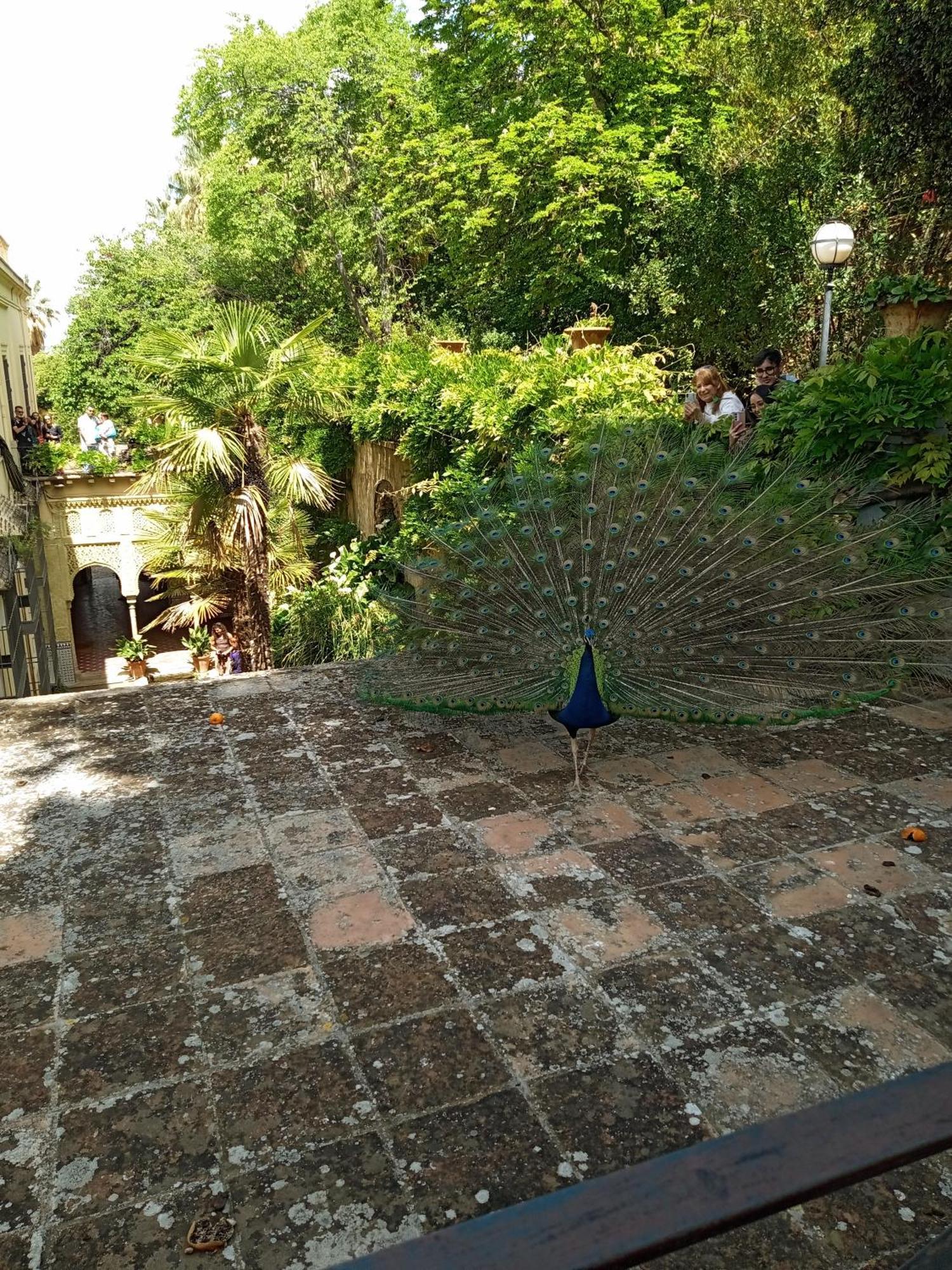 El Tero Y El Hornero Frente Appartamento Albolote